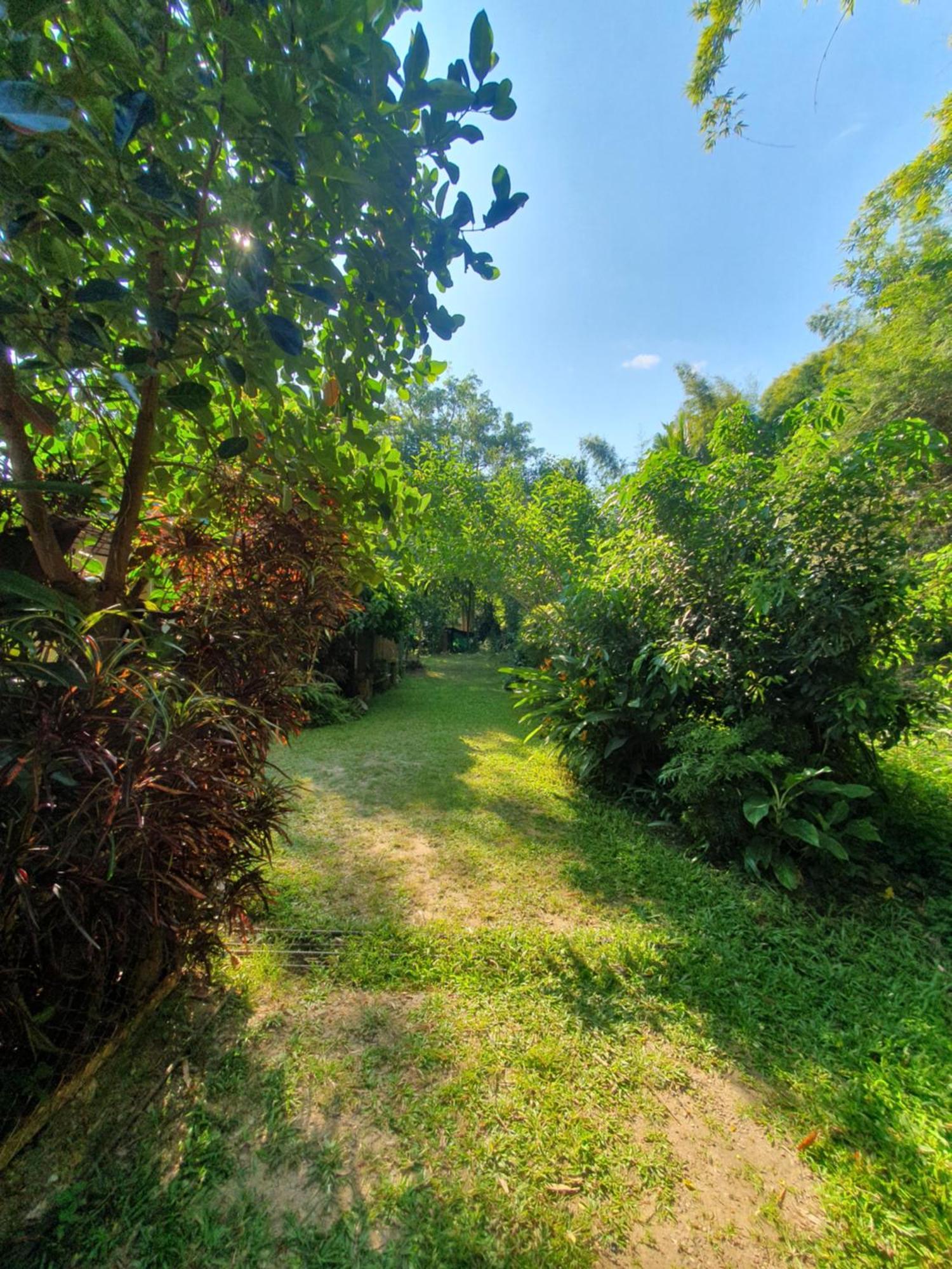 Mind'S Homestay มายด์โฮมสเตย์ Kampong Huaibu Exterior foto
